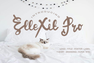 ElleXit Pro: A Font That Elevates Your Brand