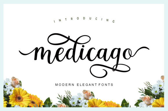 Medicago: A Script Font for Modern Web Design