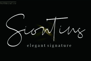 Siontins: A Font That Elevates Branding with Class and Elegance