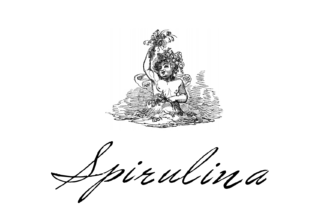Spirulina: A Script Font for Editorial Elegance