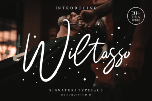 Wiltasso: The Font That Elevates Your Campaigns